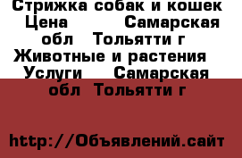 Стрижка собак и кошек › Цена ­ 400 - Самарская обл., Тольятти г. Животные и растения » Услуги   . Самарская обл.,Тольятти г.